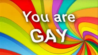 You are gay!