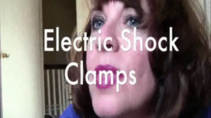 Electroshock Nipple Clamps
