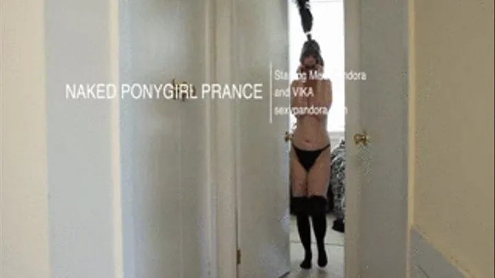 Naked Pony Prance