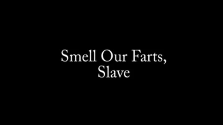 Smell Our Farts, Slave!