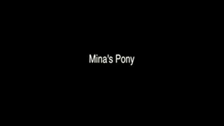 Mina's Pony (high-res