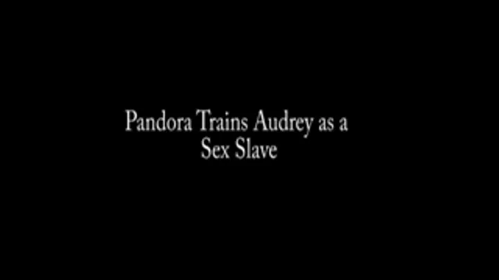 Pandora Trains Audrey (excerpt from "From Snoop to Slave"