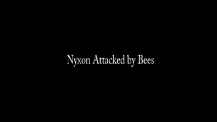 Nyxon Attacked by Bees!