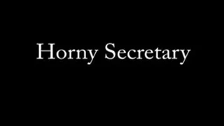 The Horny Secretary