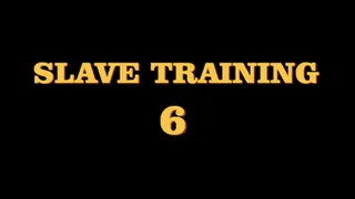 SLAVE TRAINING 6