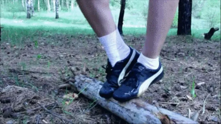 sneakers in forest