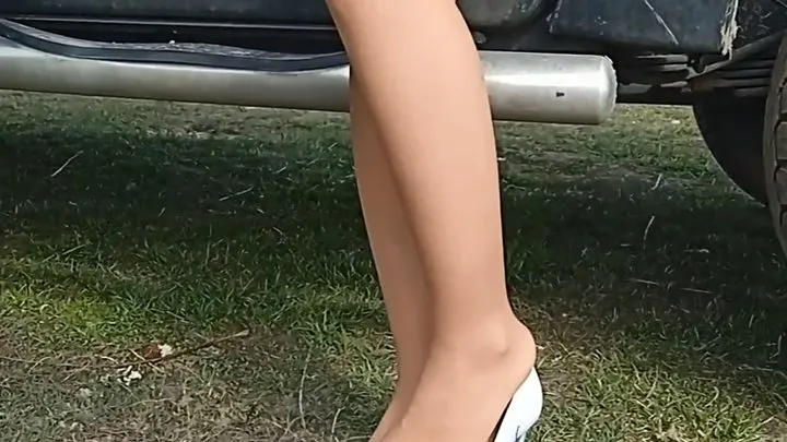 legs in pantyhose posing near car