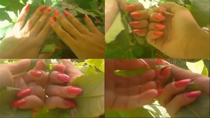 nails outdoors 2