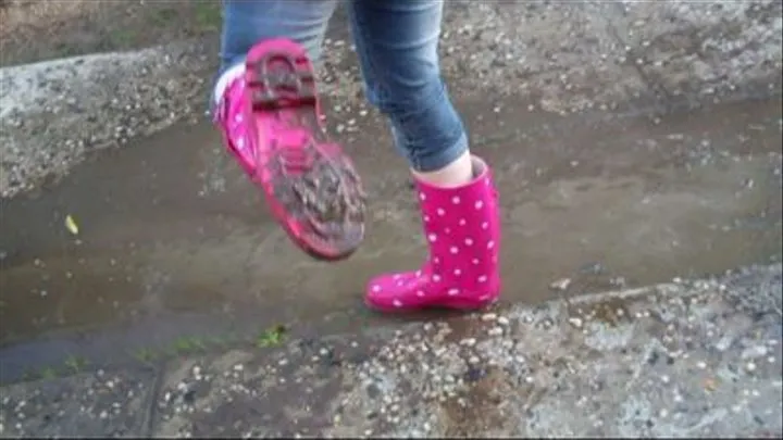 Lilith Splashing around in a puddle!