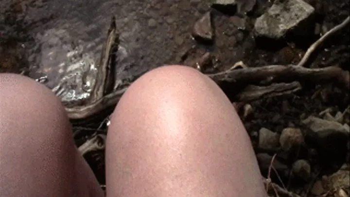 Bunions at the Lake - Compilation