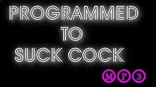 Programmed to Suck Cock MP3