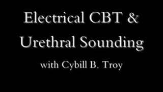 Rosebud Sounds & Electrical CBT- FULL VERSION