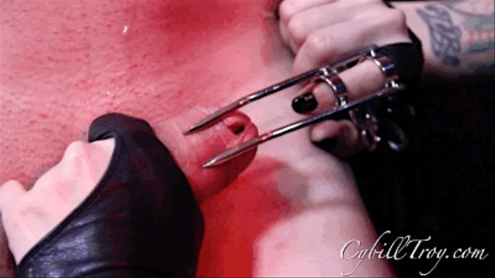 Clamped Foreskin Chastity