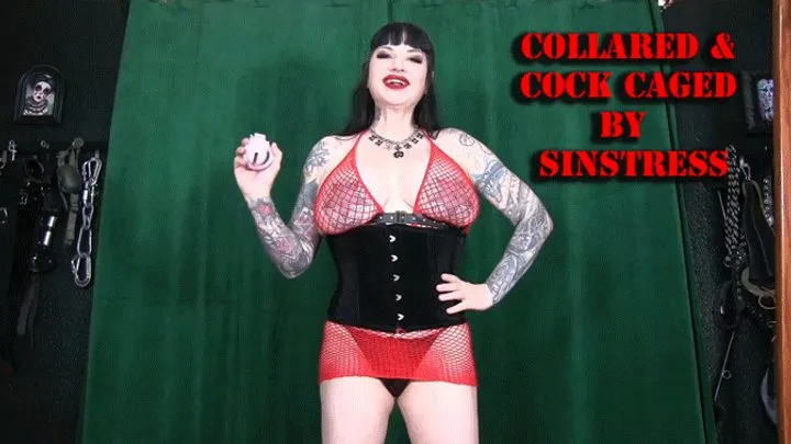 Collared and Cock Caged by Maya Sinstress