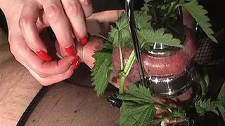 Sting nettle for squashed balls (Full Video)