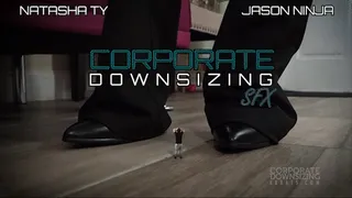 Corporate Downsizing SFX - Natasha Ty