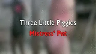 Three Little Piggies - Mistress Pet