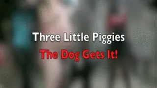 Three Little Piggies - The Gets It