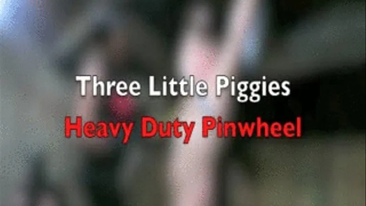 Three Little Piggies - Heavy Duty Pinwheel(small)