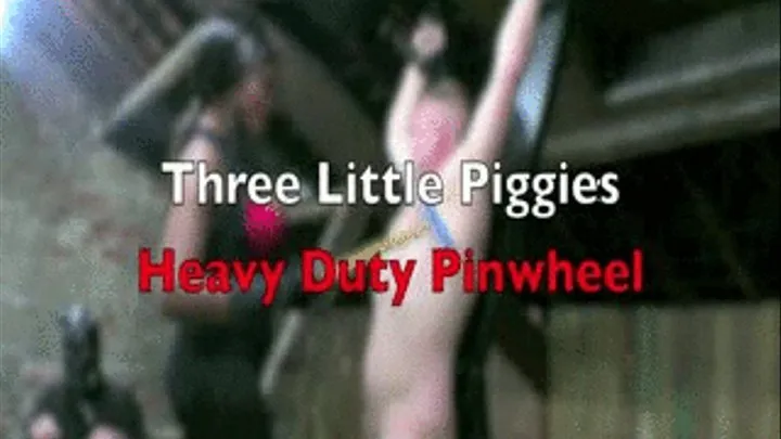 Three Little Piggies - Heavy Duty Pinwheel( )
