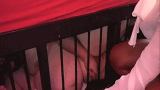 Hurting the short fat caged cock