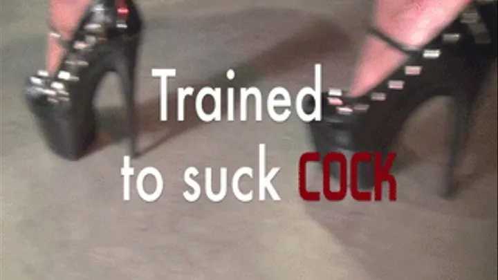 Trained to Suck Cock - HD