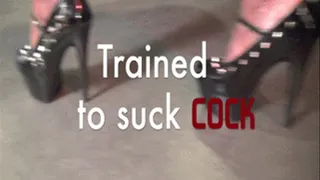 Trained to Suck Cock - HD .