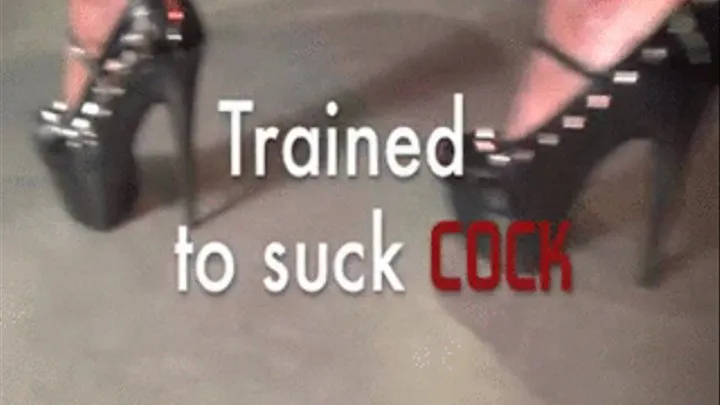 Trained to Suck Cock