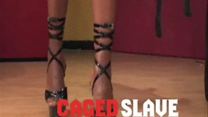 The Caged Slave FULL CLIP (smaller .wmvsized filefile)