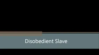 Disobedient Slave Pt2 - Large File