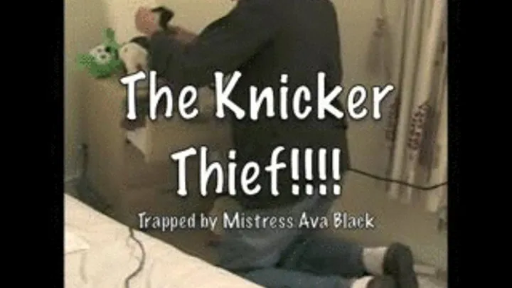 Knicker Thief - SMALL