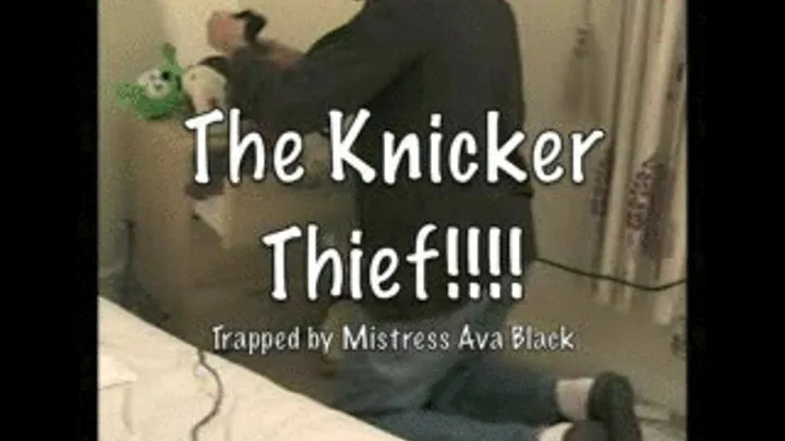 Knicker Thief - LARGE