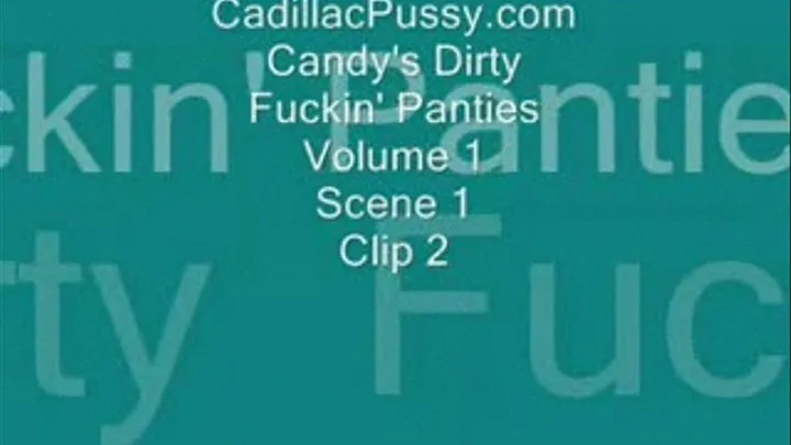 Candy's Dirty Fuckin' Panties Vol 1 Scene 1 Clip 2