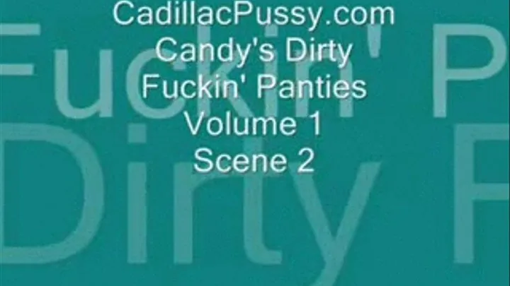 Candy's Dirty Fuckin' Panties Vol 1 Scene 2