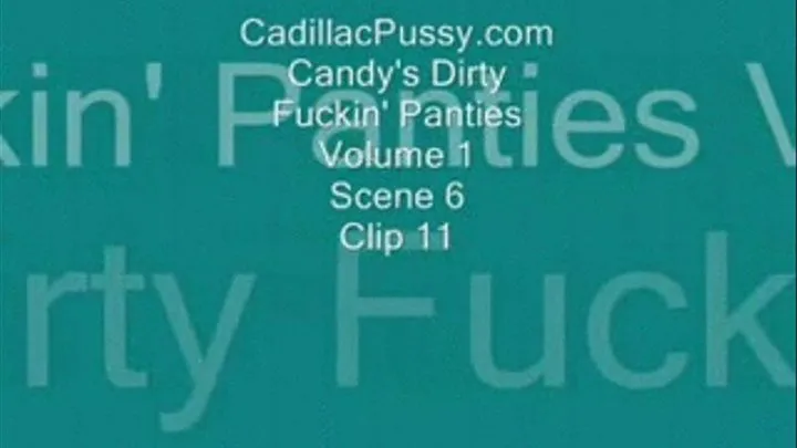 Candy's Dirty Fuckin' Panties Vol 1 Scene 6 Clip 11