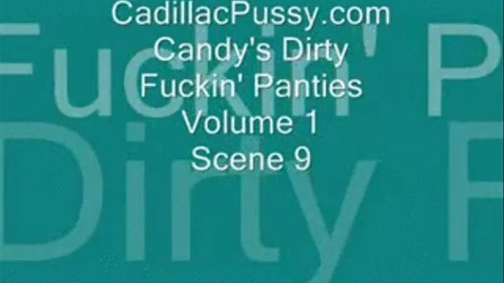 Candy's Dirty Fuckin' Panties Vol 1 Scene 9