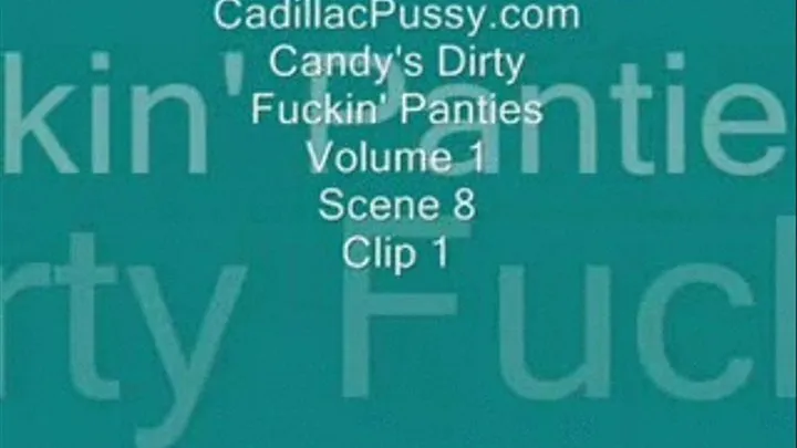 Candy's Dirty Fuckin' Panties Vol 1 Scene 8 Clip 1