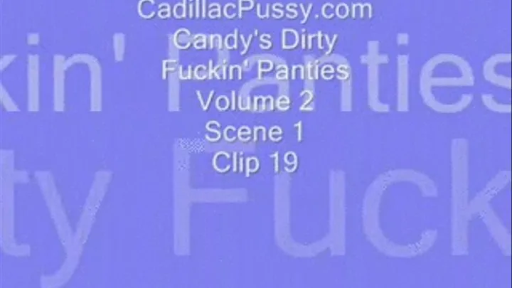 Candy's Dirty Fuckin' Panties Vol 2 Scene 1 Clip 19