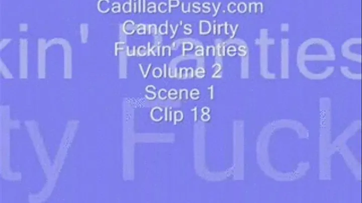 Candy's Dirty Fuckin' Panties Vol 2 Scene 1 Clip 18