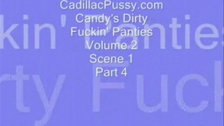 Candy's Dirty Fuckin' Panties Vol 2 Scene 1 Part 4