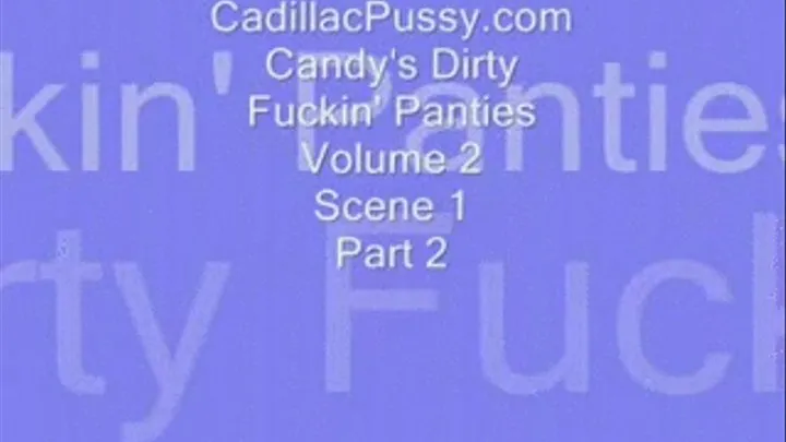 Candy's Dirty Fuckin' Panties Vol 2 Scene 1 Part 2