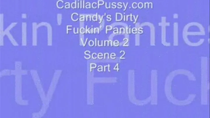 Candy's Dirty Fuckin' Panties Vol 2 Scene 2 Part 4