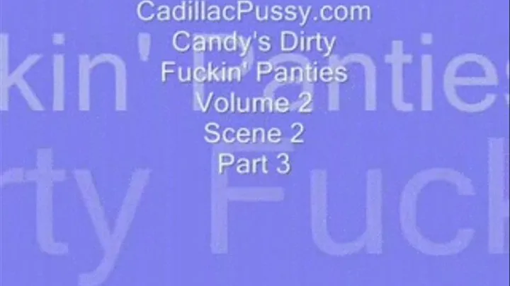 Candy's Dirty Fuckin' Panties Vol 2 Scene 2 Part 3