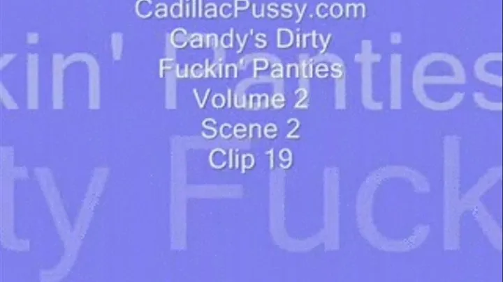 Candy's Dirty Fuckin' Panties Vol 2 Scene 2 Clip 19