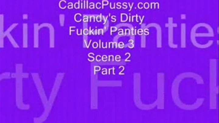 Candy's Dirty Fuckin' Panties Vol 3 Scene 2 Part 2