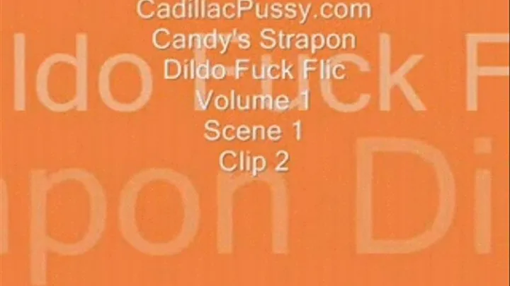 Candy's Strapon Dildo Fuck Flic Vol 1 Scene 1 Clip 2