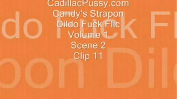 Candy's Strapon Dildo Fuck Flic Vol 1 Scene 2 Clip 11