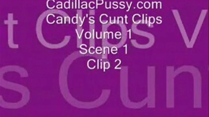 Candy's Cunt Clips Vol 1 Scene 1 Clip 2