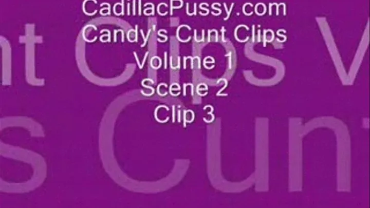 Candy's Cunt Clips Vol 1 Scene 2 Clip 3