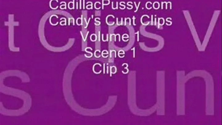 Candy's Cunt Clips Vol 1 Scene 1 Clip 3